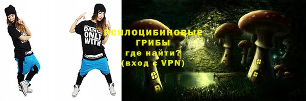 прущие крисы Кулебаки