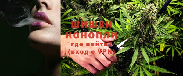 прущие крисы Кулебаки