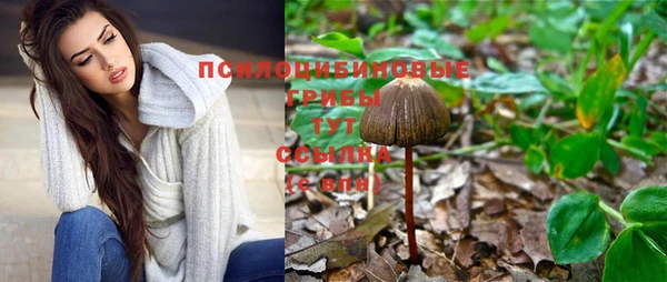 альфа пвп Кукмор
